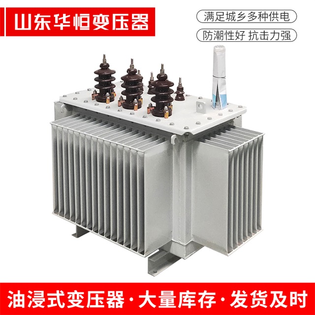 S13-10000/35滨海滨海滨海油浸式变压器厂家